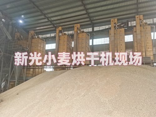 新光小麥干燥機(jī)現(xiàn)場 新光小麥干燥機(jī)現(xiàn)場