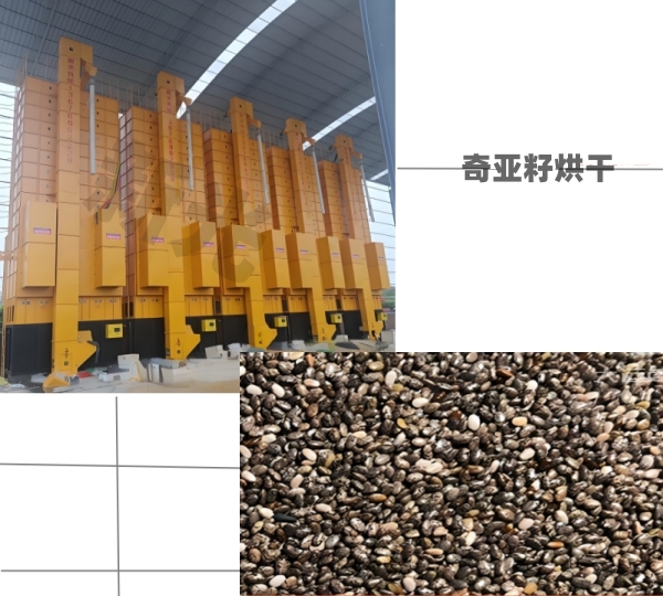 �¹�Zʳ��əC�恆�Ѹ���